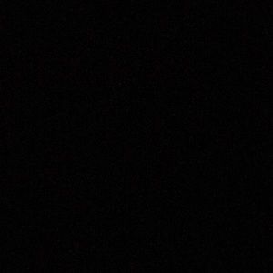 Meet your Posher, Wesley